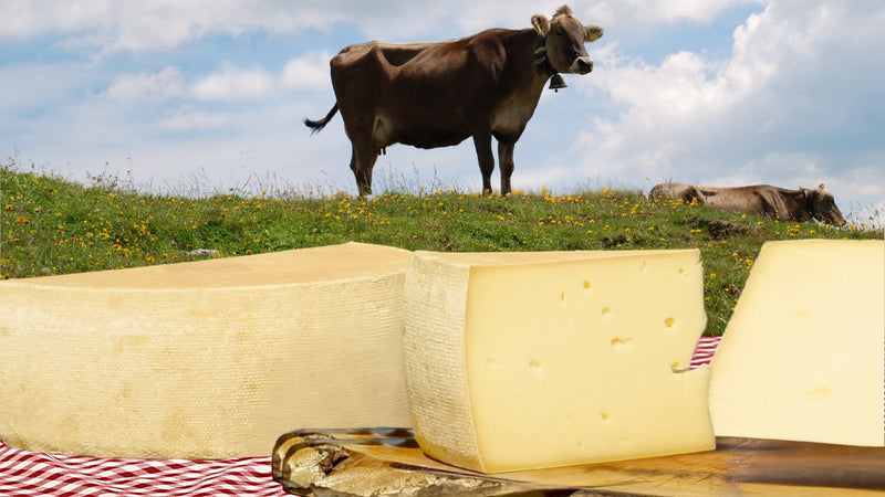 Dorfkäse