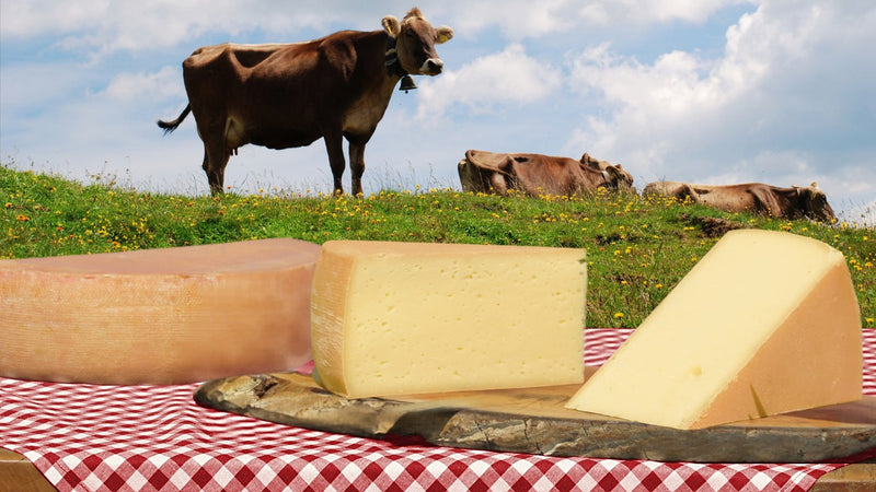 Rässkäse
